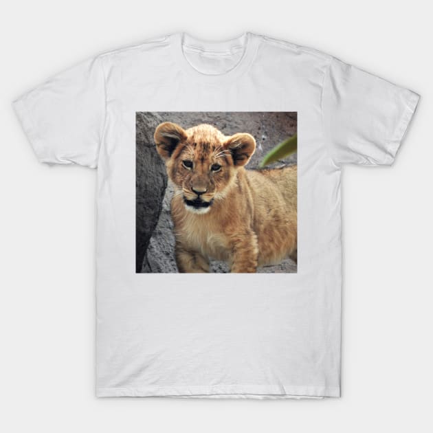 Lion Cub T-Shirt by kirstybush